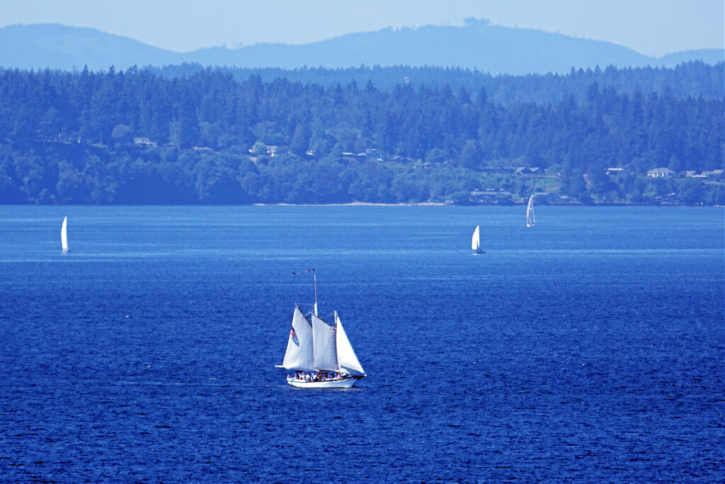 Sailboats On Puget Sound by seattlite