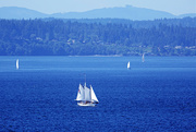 9th Aug 2022 - Sailboats On Puget Sound