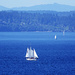 Sailboats On Puget Sound by seattlite