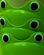 9th Aug 2022 - Green Eyed Monster
