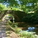 Another Canal Walk (or Can You Spot Reggie?)