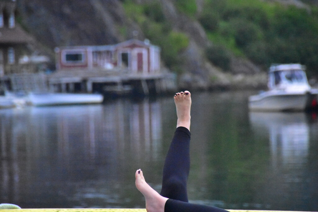 Yoga on the dock at Quidi Vidi by jayberg
