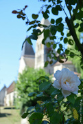 7th Aug 2022 - Abbaye de Morienval 