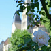 Abbaye de Morienval  by parisouailleurs