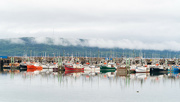 9th Aug 2022 - Low Tide in Digby...