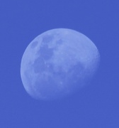 10th Aug 2022 - Moon by day!