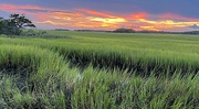10th Aug 2022 - Marsh sunset