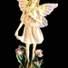 Fairy Dell