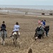 Donkey train on beach  by cafict