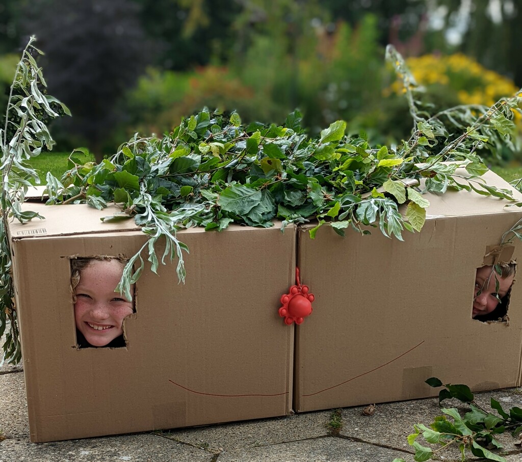 Fun with cardboard boxes  by sarah19
