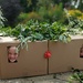 Fun with cardboard boxes 