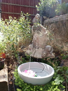 8th Aug 2022 - Playing around with water features part 2