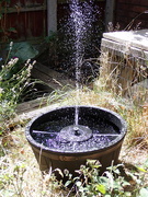 7th Aug 2022 - Playing around with water features part 1