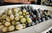 9th Aug 2022 - Frozen grapes 