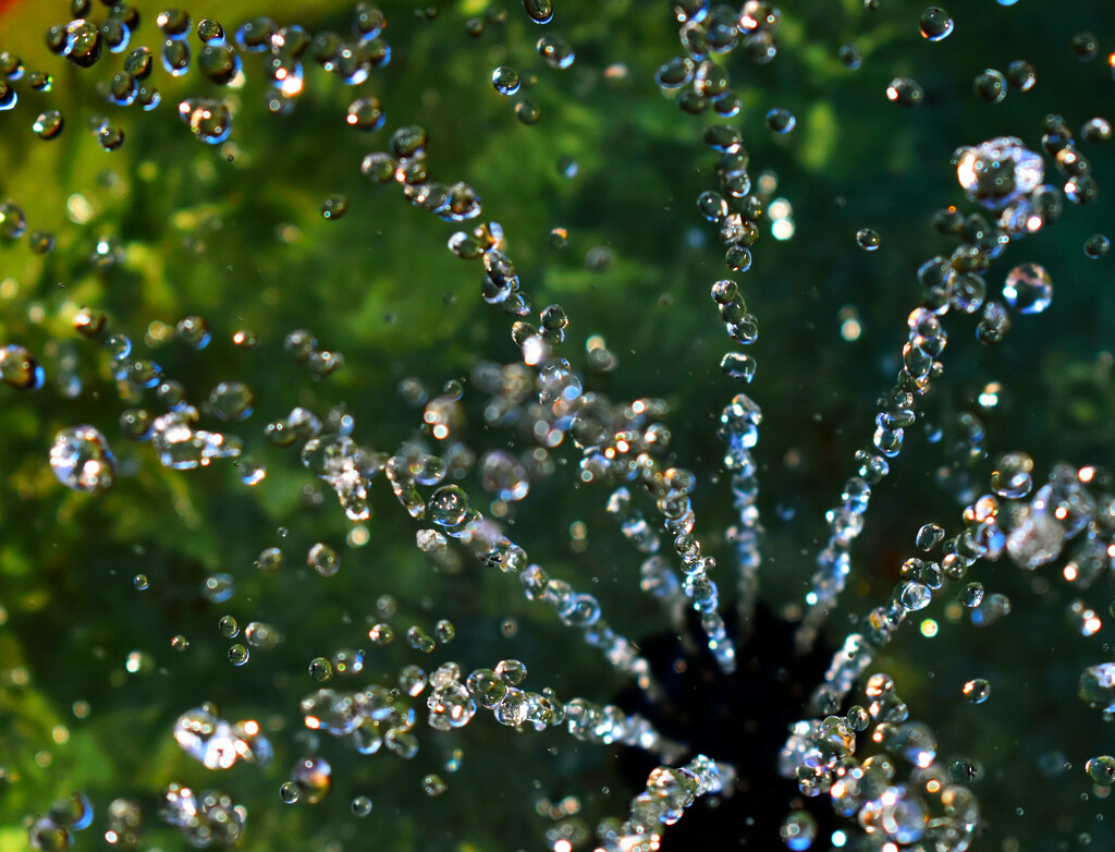 Beads of water emerging from my new solar fountain... by anitaw