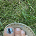 Don’t wear open toe sandals when crafting  by wakelys