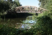 3rd Aug 2022 - Walk Across The Samamish Slough