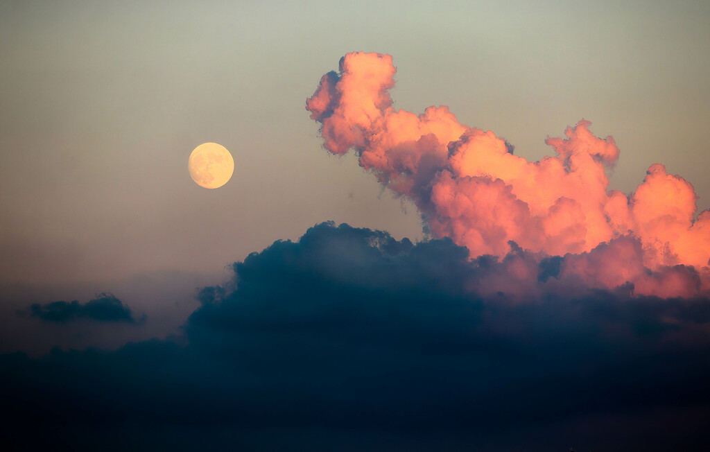 Moonrise by elza