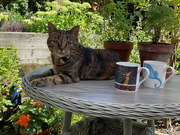 11th Aug 2022 - Sharing Coffee Time