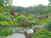 23rd Jul 2022 - Chinese Garden at RHS Bridgewater