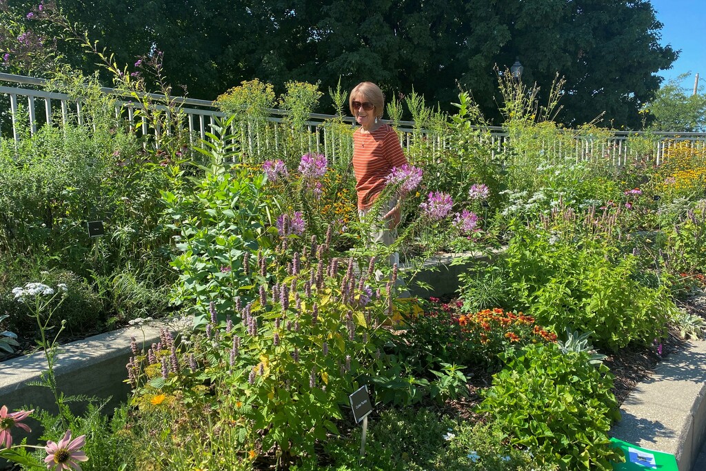 Sheila checking on the garden at our library by tunia