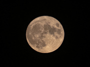 11th Aug 2022 - Full moon