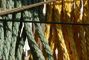 8th Aug 2022 - old rope