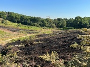 12th Aug 2022 - Another fire on our sites