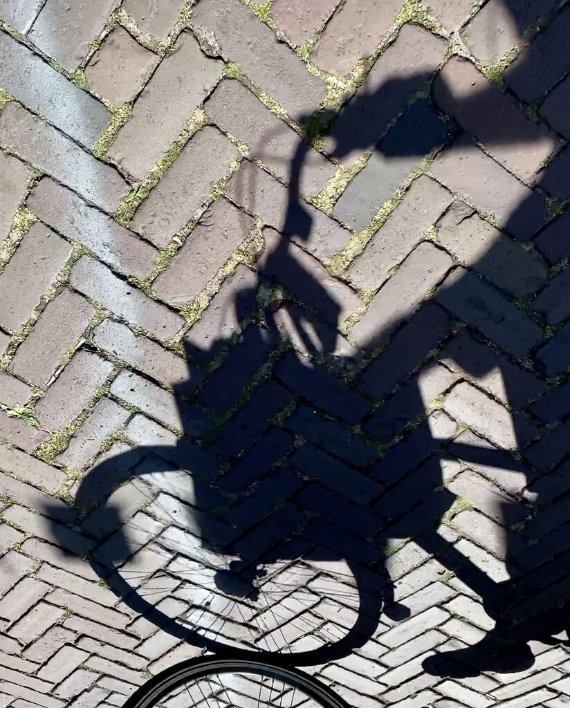 Shadow biking in the Summer sun by stimuloog