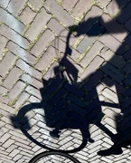 12th Aug 2022 - Shadow biking in the Summer sun