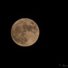 Super moon!  by ingrid01