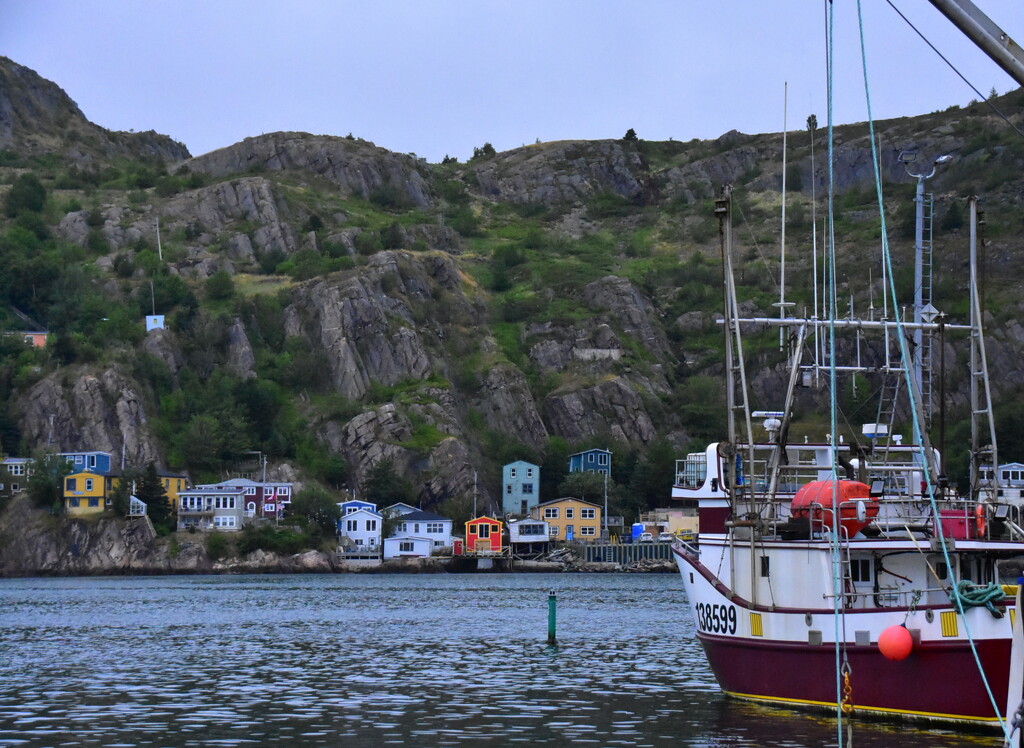 Inner Harbour, St. John's Newfoundland by jayberg