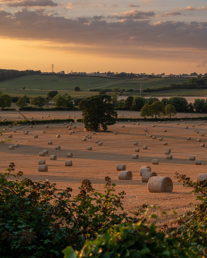 More and more Bales by rjb71