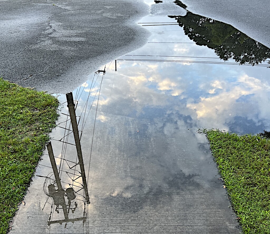 Cloud reflection in rain puddle  by congaree