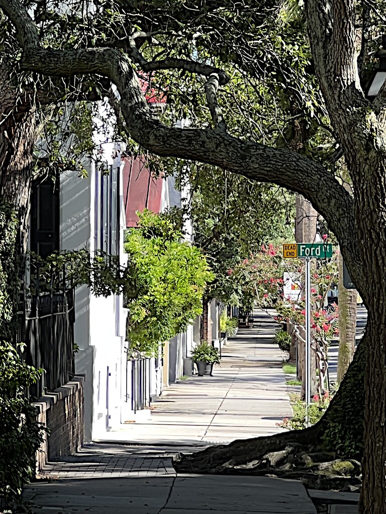 Charleston Historic District by congaree