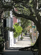 13th Aug 2022 - Charleston Historic District