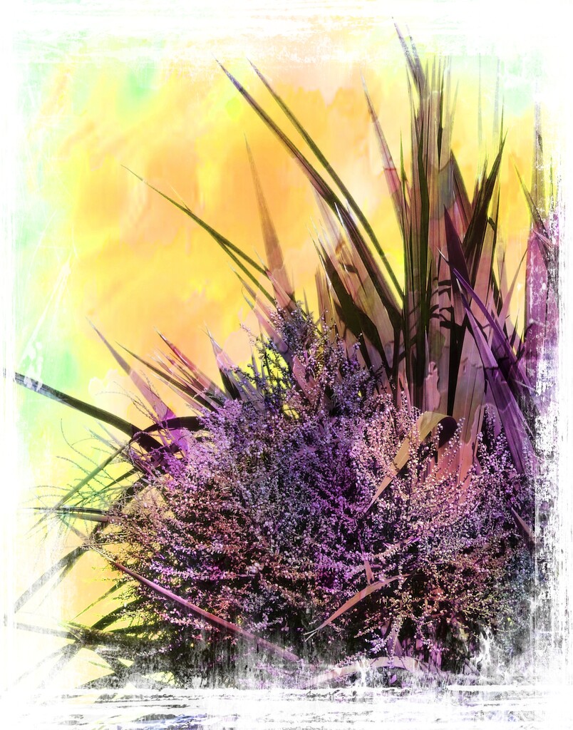 Abstract-13 In the garden  by beryl