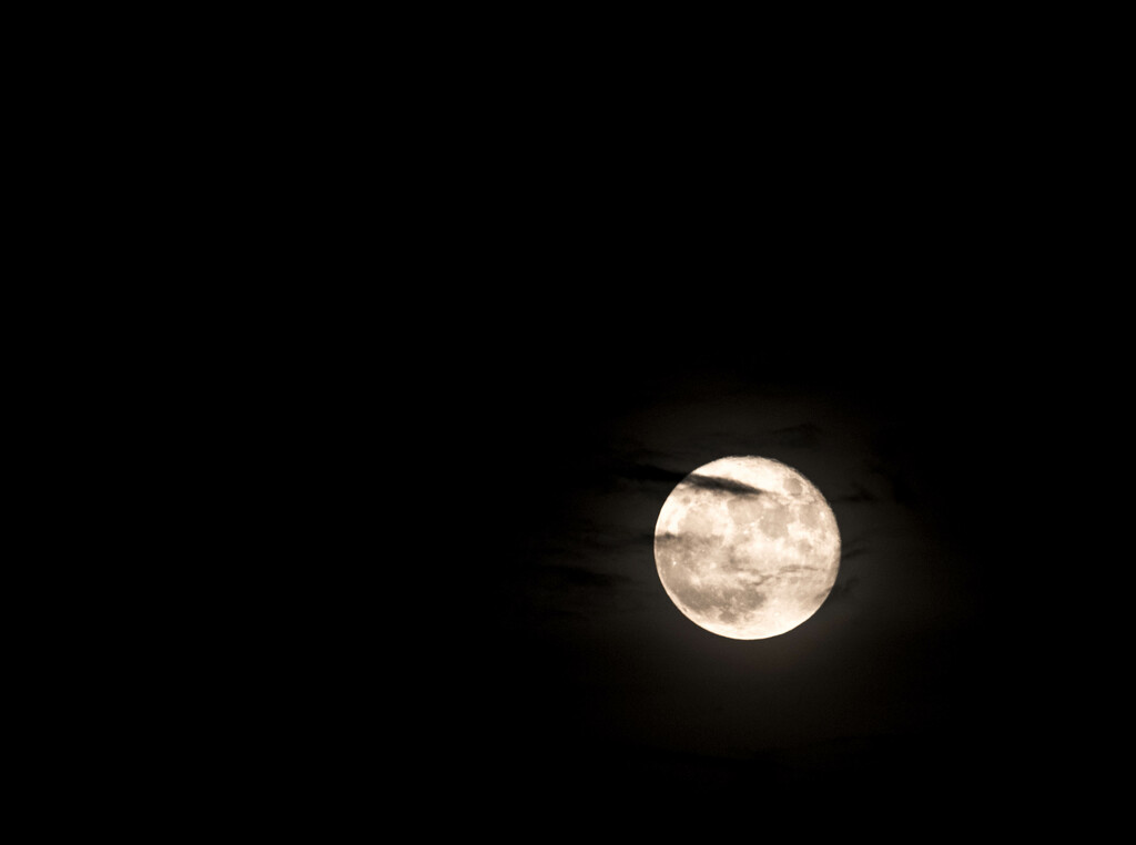 Sturgeon Moon  by dkellogg