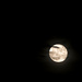 Sturgeon Moon  by dkellogg