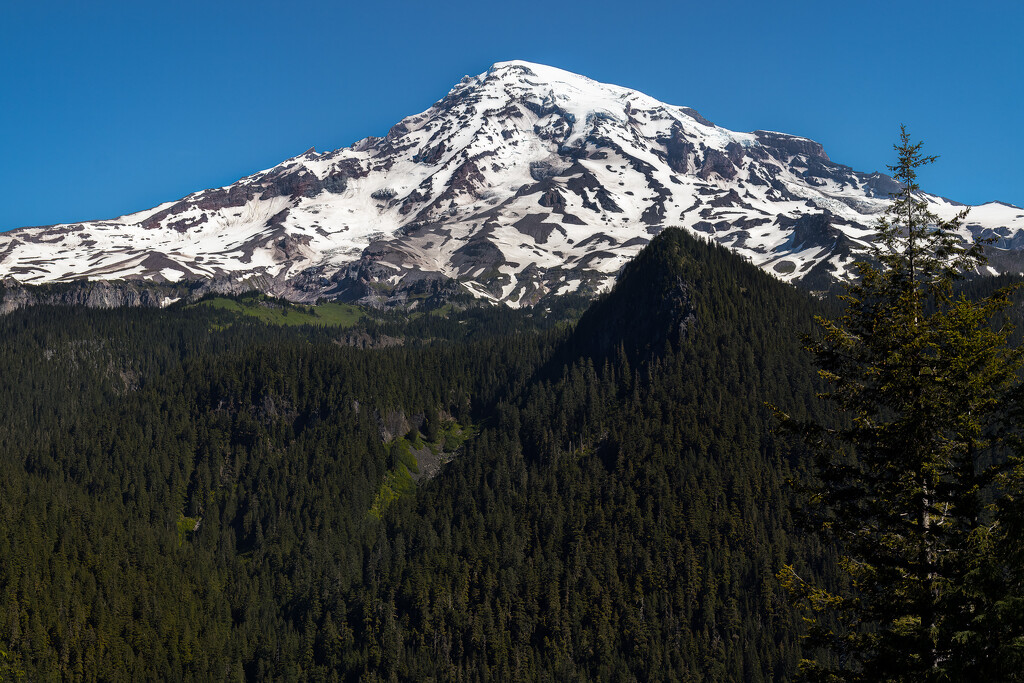 Mount Rainier by swchappell