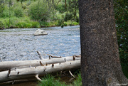 6th Aug 2022 - Truckee river