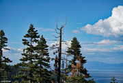7th Aug 2022 - Lake Tahoe