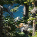 Fannette Island Lake Tahoe