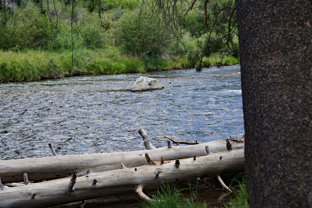Truckee river 3 by larrysphotos