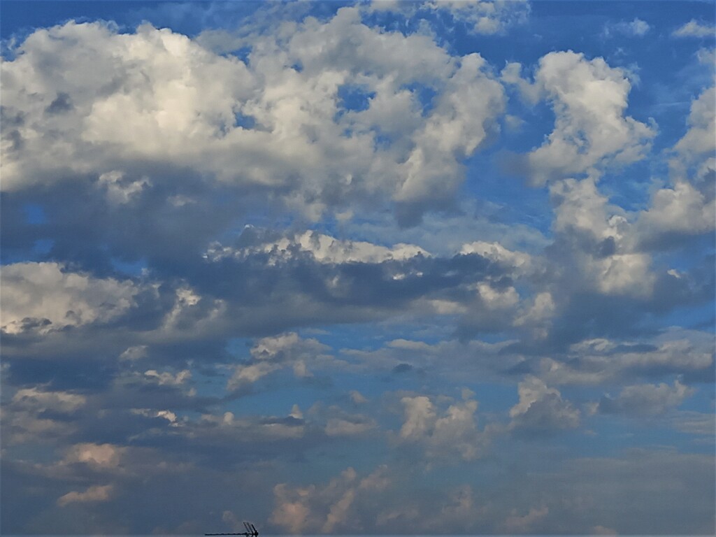 A Van Gogh themed sky? by 365jgh