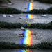 Rainbow by dkbarnett