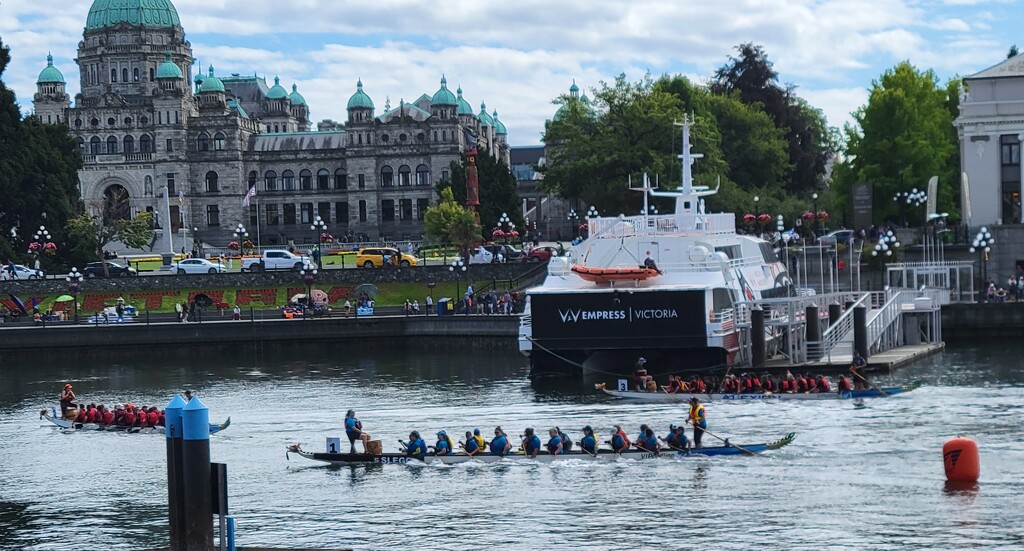 Dragon Boat Races by kimmer50