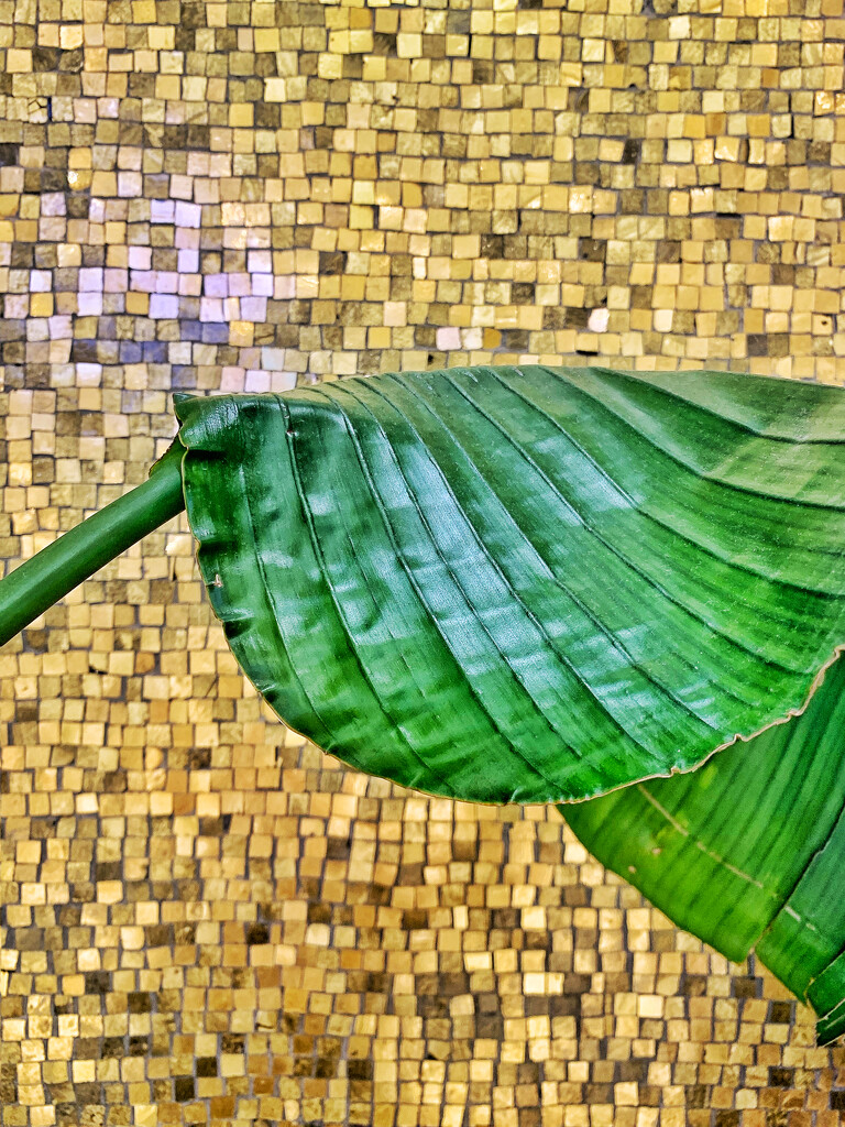 Leaf and mosaics.  by cocobella