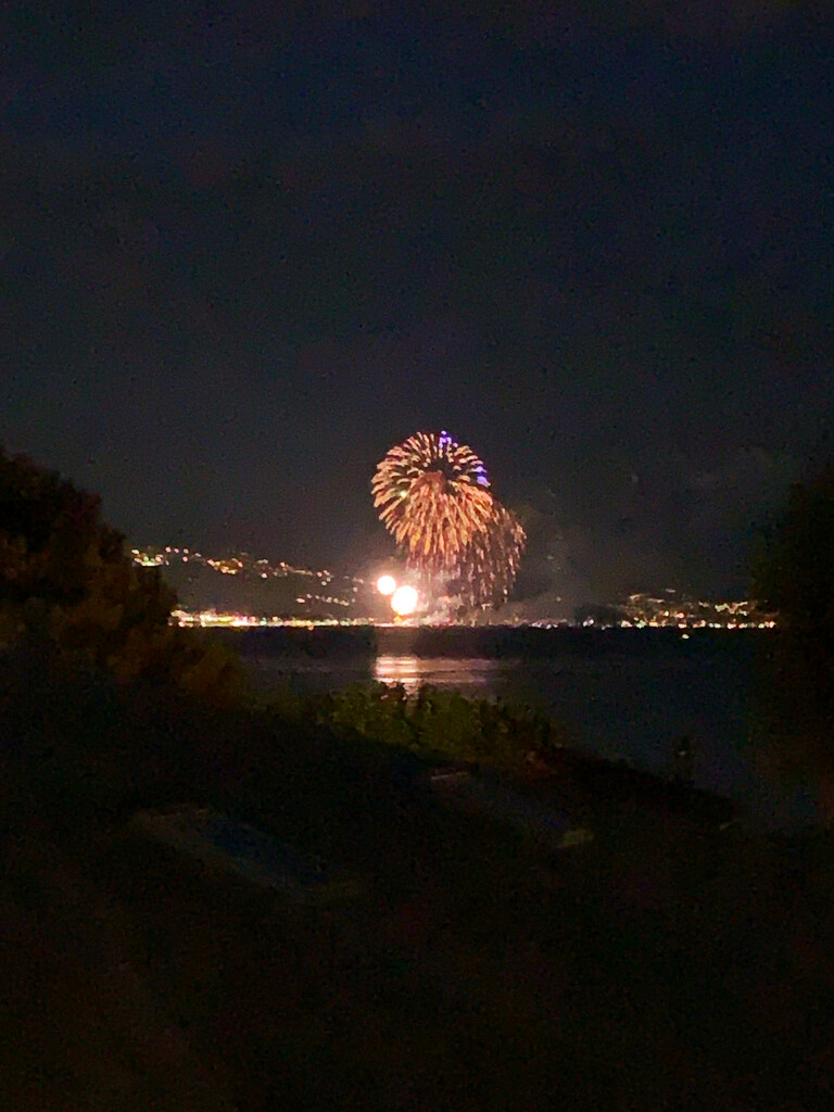 Fireworks above Lausanne.  by cocobella