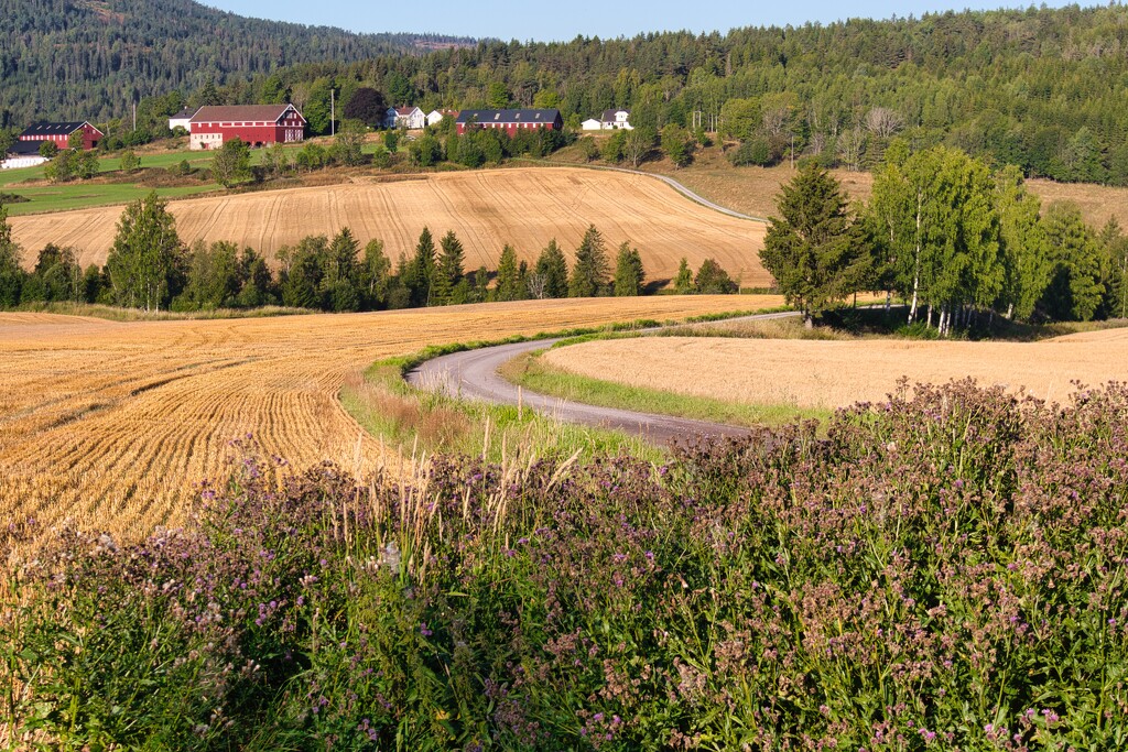 Farm in Skoger by okvalle